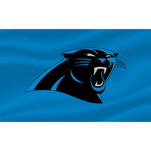 25% OFF Carolina Panthers Flags 3x5 Team Logo - Only Today